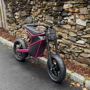 Lumen Racing Heybike/Yozma/Tuttio Titanium Kit